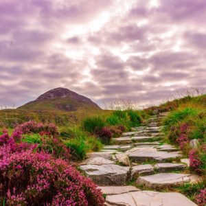 ireland, national park, connemara